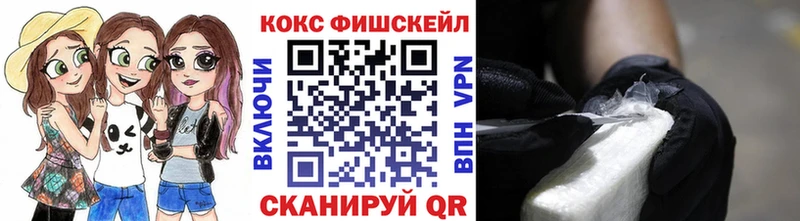 Кокаин Fish Scale  Купить закладки  Чехов 