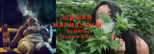 гидропоника Горнозаводск