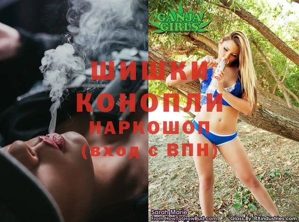 винт Гусь-Хрустальный