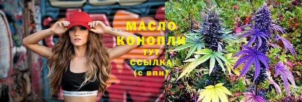 винт Гусь-Хрустальный