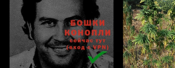 гидропоника Горнозаводск